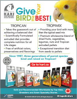 Calgary Parrot Club – For all Parrot Lovers
