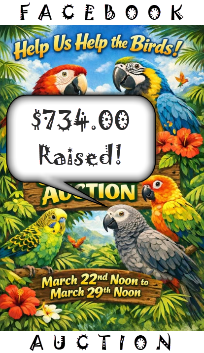 March Facebook Auction