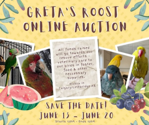 Greta's Roost Facebook Auction
